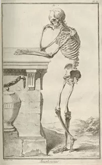 1751 1765 Gallery: Anatomy. From Encyclopedie by Denis Diderot and Jean Le Rond d Alembert, 1751-1765