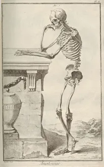 Anatomy. From Encyclopedie by Denis Diderot and Jean Le Rond d Alembert, 1751-1765