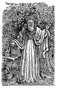 Druid Prints: Ancient British Arch-Druid wearing the Breastplate of Judgement, c1900