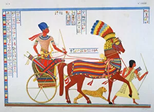 Charioteer Gallery: Ancient Egyptain fresco, 19th century. Artist: Ippolito Rosellini