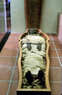 Mummy Prints: Ancient Egyptian mummy in wrappings