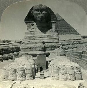 Looking Up Collection: The Ancient Sphinx and Recent Excavations, Giza, Egypt, c1930s. Creator: Unknown