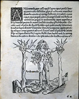 Upright Prints: Andromeda, mithological interpretation of the constellations, engraving from Astronomicon