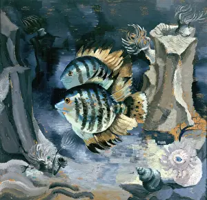 Aquarium Prints: Angelfish - London Aquarium, 1930. Creator: Christopher Wood