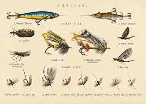 Fishing Hook Prints: Angling, c20th century