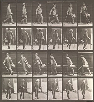 Eadweard James Muybridge Gallery: Animal Locomotion. An Electro-Photographic Investigation... of Animal Movements. Commence