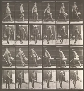 Straw Hat Prints: Animal Locomotion. An Electro-Photographic Investigation... of Animal Movements. Commence