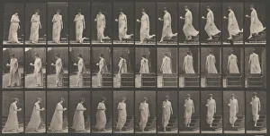 Animal Locomotion. An Electro-Photographic Investigation... of Animal Movements. Commence