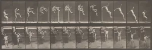 Animal Locomotion. An Electro-Photographic Investigation of Consecutive Phases of Animal