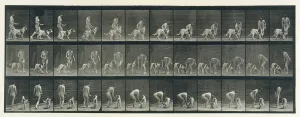 Animal Locomotion. An Electro-Photographic Investigation of Consecutive Phases of Animal