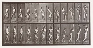 Animal Locomotion. An Electro-Photographic Investigation of Consecutive Phases of Animal