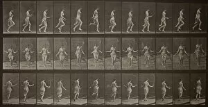 Movement Gallery: Animal Locomotion, Plate 174, 1887. Creator: Eadweard J Muybridge
