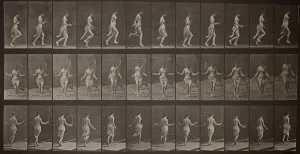 Movement Gallery: Animal Locomotion, Plate 174, 1887. Creator: Eadweard J Muybridge