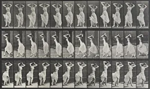 Muybridge Prints: Animal Locomotion Plate 190, 1887. Creator: Muybridge, Eadweard (1830-1904)