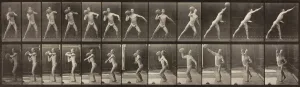 Movement Gallery: Animal Locomotion, Plate 319, 1887. Creator: Eadweard J Muybridge