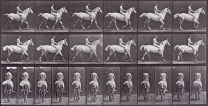 On Horseback Prints: Animal Locomotion, Printed 1887. Creator: Eadweard J Muybridge