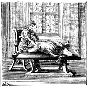 Blood Transfusion Collection: Animal-to-human blood transfusion, 1679