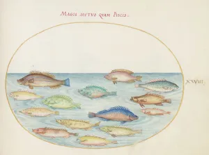 Animalia Aqvatilia et Cochiliata (Aqva): Plate XXVIII, c. 1575/1580. Creator: Joris Hoefnagel