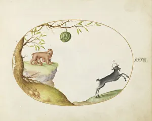Animalia Qvadrvpedia et Reptilia (Terra): Plate XXXIII, c. 1575/1580. Creator: Joris Hoefnagel