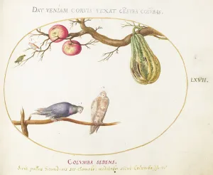 Gourd Prints: Animalia Volatilia et Amphibia (Aier): Plate LXVII, c. 1575/1580. Creator: Joris Hoefnagel