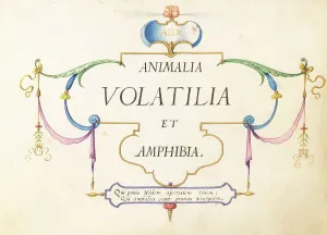 Marine Life Prints: Animalia Volatilia et Amphibia (Aier): Title Page, c. 1575/1580. Creator: Joris Hoefnagel