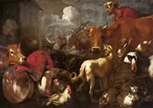Musei Di Strada Nuova Collection: The Animals Board Noahs Ark