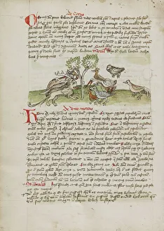 Gatherer Prints: Animals Gathered under a Tree; Fables, third quarter of 15th century. Creator: Unknown