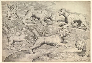 Veneziano Gallery: Six Animals, including lions, a tiger, a leopard, a griffin, and a goat, ca. 1530-61