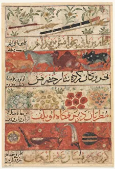 Animals, Precious Stones, Coins, and Musical Instruments (recto)... c. 1341. Creator: Unknown