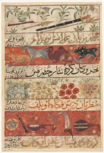 Animals, Precious Stones, Coins, and Musical Instruments (recto); Animals, Birds, and Plants