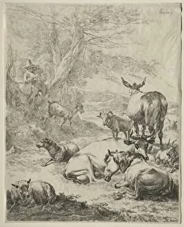 Animals in Repose. Creator: Nicolaes Berchem (Dutch, 1620-1683)