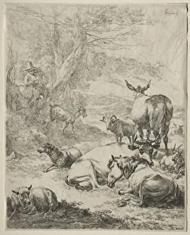 Animals in Repose. Creator: Nicolaes Berchem (Dutch, 1620-1683)