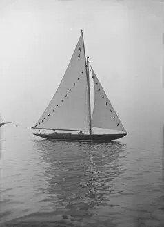 8 Metre Collection: Anitra dressed with flags, 1912. Creator: Kirk & Sons of Cowes