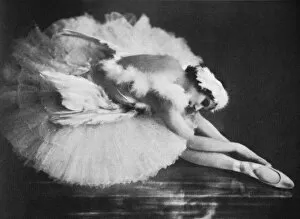 Ballet Collection: Anna Pavlova in The Swan, 20th century