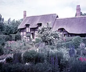 Cottages Prints: Anne Hathaway's Cottage, Stratford-on-Avon