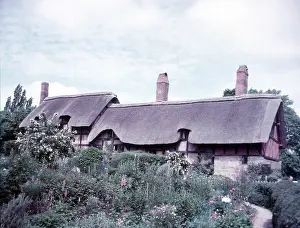 Cottages Prints: Anne Hathaway's Cottage, Stratford-on-Avon