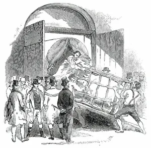 Smithfield Club Prints: The Annual Exhibition of the Smithfield Club - Carting away a Pig, 1850. Creator: Unknown
