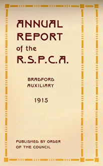 Report Prints: Annual Report of the R. S. P. C. A. 1916