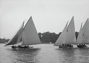 Johnston Js Prints: Anoatok, Dragoon, and Acushla, start, I.H. Reg. 1898 July 30. Creator: Johns Johnston