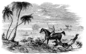 Hunting Dogs Prints: Antelope-Hunting in India - Antelopes driven from Cover, 1858. Creator: Unknown