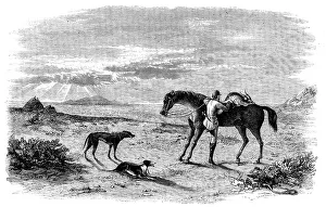 Hunting Dogs Prints: Antelope-Hunting in India - Preparing to Return, 1858. Creator: Unknown