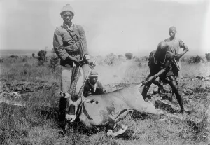 Ammunition Prints: Antelope killed in Africa, between c1915 and c1920. Creator: Bain News Service