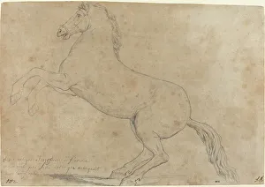 David L Prints: An Antique Sculpture of a Horse, 1780. Creator: Jacques-Louis David