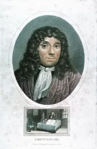 Antoni Van Gallery: Anton van Leeuwenhoek (1632-1723), Dutch microscopist, c1810. Artist: John Chapman