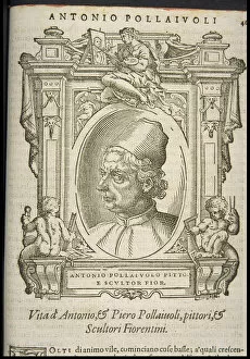Ca 1568 Collection: Antonio Pollaiuolo, ca 1568