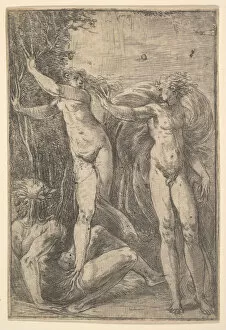 Transformation Gallery: Apollo and Daphne, ca. 1538-40. Creator: Andrea Schiavone
