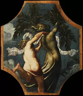 Apollo And Daphne Gallery: Apollo and Daphne, ca 1541. Creator: Tintoretto, Jacopo (1518-1594)
