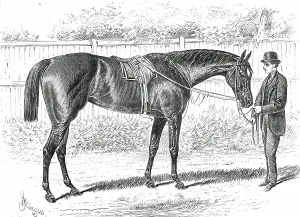Race Horse Prints: Apology, the Winner of the Gold Cup at Ascot, 1876. Creator: John Sturgess