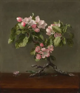 Apple Blossoms, 1873. Creator: Martin Johnson Heade (American, 1819-1904)