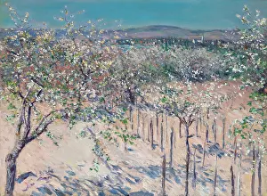 Blooming Prints: Apple orchard in bloom, Colombes, 1883. Creator: Caillebotte, Gustave (1848-1894)